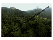  Venda - São Paulo  Áreas Reserva Legal Registro - SP